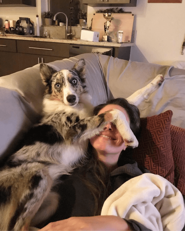 Blue merle border collie and her human.