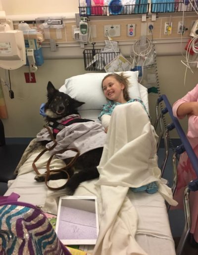 A young child with cancer in her hospital bed, with her border collie service dog.