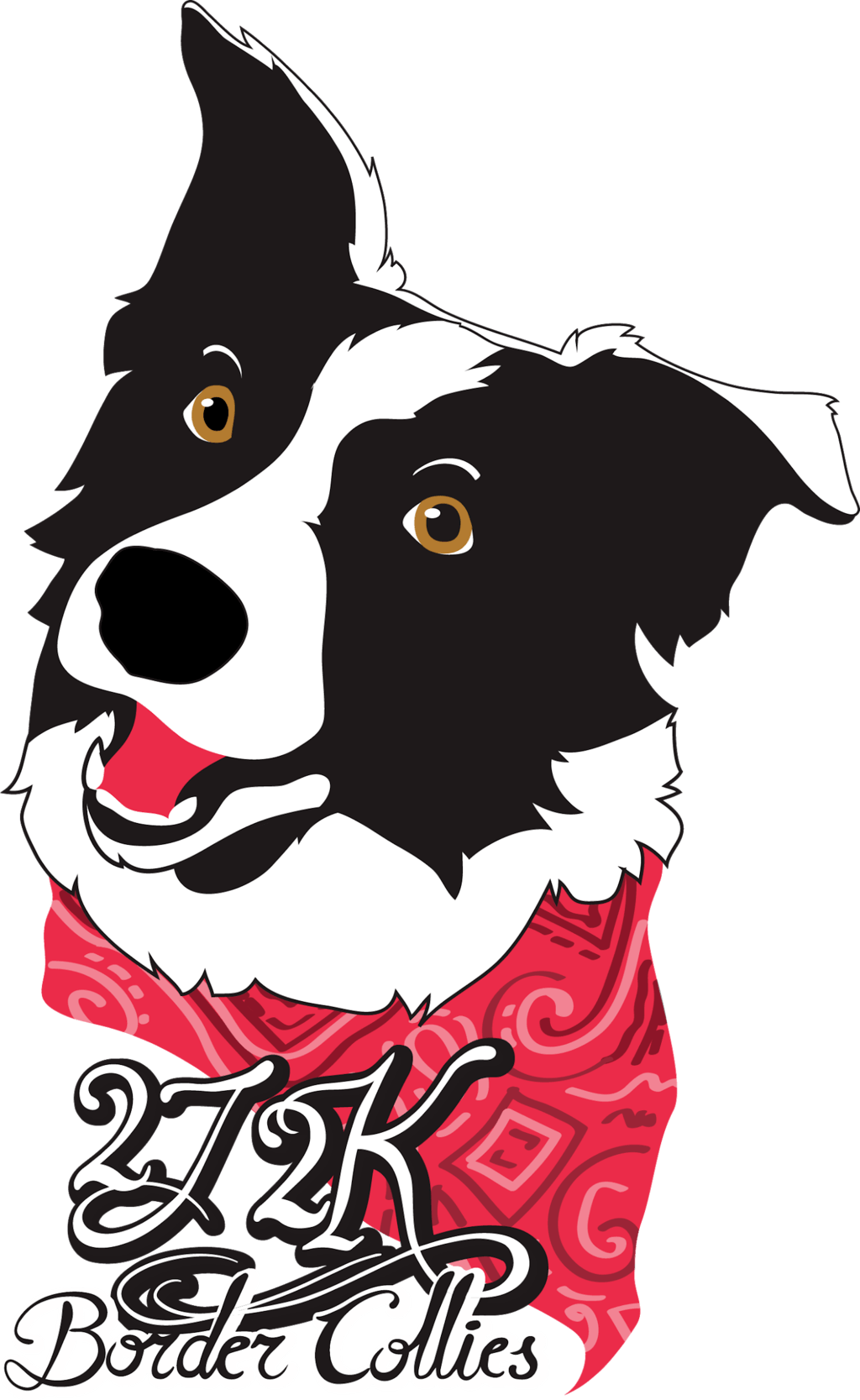 Border Collie Puppies For sale  | Bred with HEART Border Collie Breeder