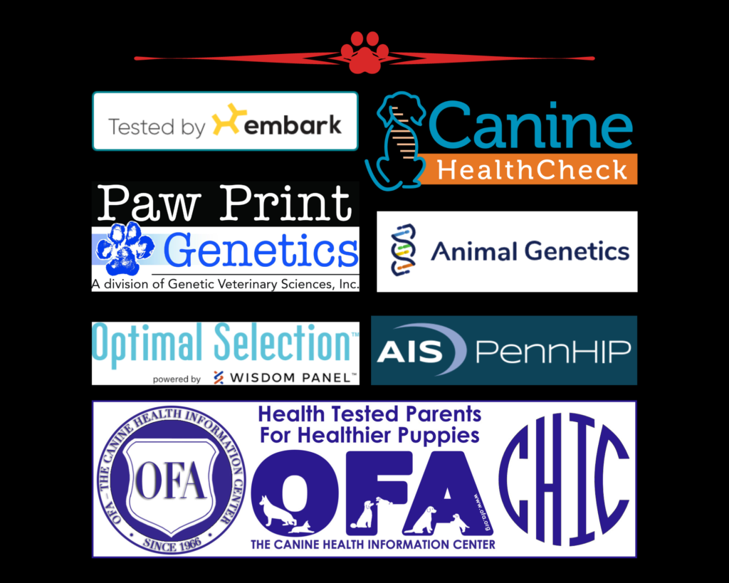 2J 2K Border Collies, Paw Print Genetics, Embark, Canine Health Check, Animal Genetics, OFA, Optimal Selection, PennHIP